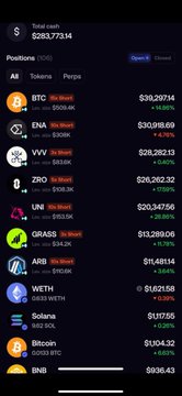 The image displays a cryptocurrency portfolio showing a total cash balance of $293,773.14 with positions in BTC, ETH, SOL, ZRO, UNI, GRASS, ARB, WETH, SOL, and BNB.

The accompanying post appears unrelated to the image, as the screenshot simply shows a trading portfolio summary without any sexual or inappropriate context.