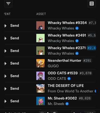 A screenshot of a digital wallet displaying a list of NFTs acquired, including "Whacky Whales #9354," "Whacky Whales #3491," "Whacky Whales #2371," "Neanderthal Hunter #291," "ODD CATS #1539," "THE DESERT OF LIFE," and "Mr. Sheeb #3062," each with a "Send" option. The image illustrates the user's surprise at receiving multiple NFTs, including the Whacky Whales collection, after purchasing one, aligning with the post's excitement about unexpectedly receiving a bunch of NFTs.