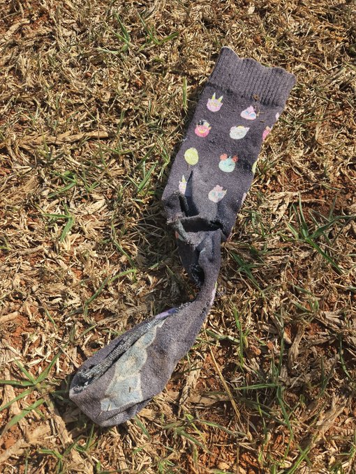 A damaged dark gray sock with cupcake prints lies on dry grass, appearing torn or burned at the toe end.
