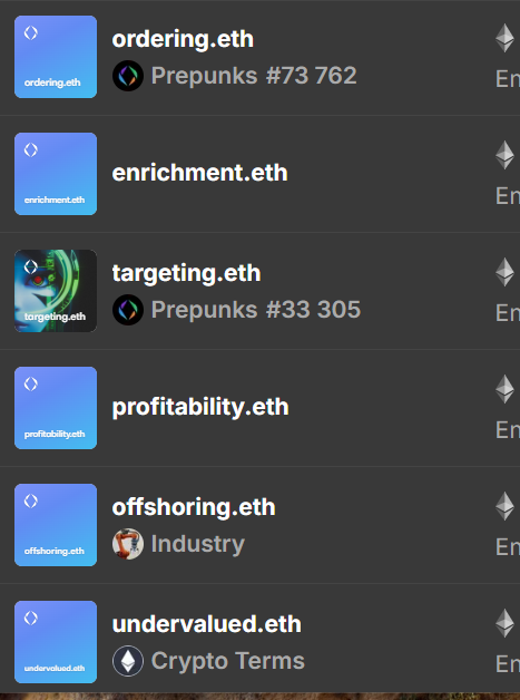 A screenshot showing a list of ENS domains including ordering.eth, enrichment.eth, targeting.eth, profitability.eth, offshoring.eth, and undervalued.eth.
