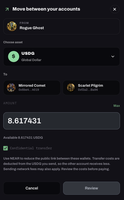 A screenshot of a digital wallet interface titled 'Move between your accounts', showing a confidential transfer of 8.617431 USDG (Global Dollar) from 'Rogue Ghost' to 'Mirrored Comet' or 'Scarlet Pilgrim'.