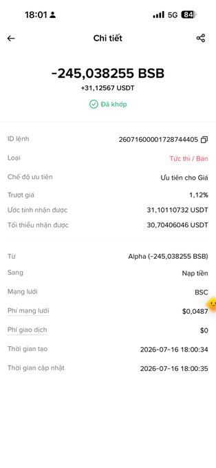 A Vietnamese-language mobile app screen showing a transaction detail of '-245.038255 BSB' (+31.12567 USDT), a successful transaction on the BSC network dated 2026-07-16.