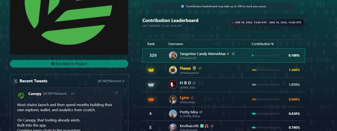 The image shows a Contribution Leaderboard for CNPY Network with a 7-day snapshot, where the user "tangerine Candy MemeMax" is ranked 329th with a 0.100% contribution, while the top contributors include "Nessa" at 1.460% and "HBO" at 1.070%. This directly supports the post by showing the user is just outside the top 300 and highlighting the gap they need to close to reach the top 100.