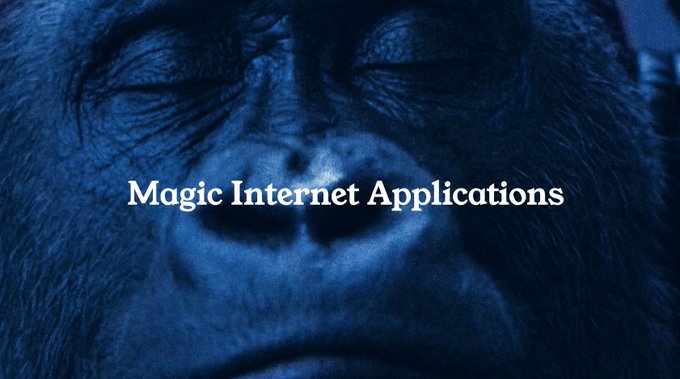 A close-up blue-tinted image of a gorilla's face with closed eyes, overlaid with the text 'Magic Internet Applications' in white serif font.