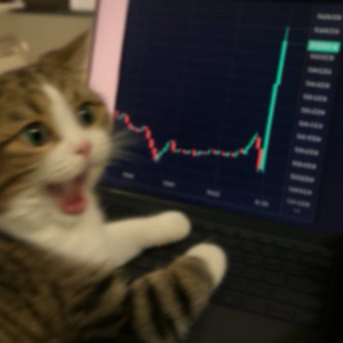 A shocked cat with an open-mouthed expression appears in front of a laptop displaying a stock chart with a dramatic green surge upward on the right side. The image humorously captures the euphoric reaction traders feel watching their investments skyrocket, perfectly embodying the post's sentiment that seeing green candles is the only true source of happiness.