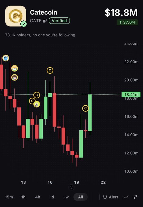 A candlestick chart shows Catecoin (CATE) at an $18.8M market cap, up 37%, with 73.1K holders, supporting the post's quip about whether the $CATE community is still active during "cat season."