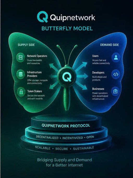 A poster or infographic showing a butterfly model representing Quipnetwork's infrastructure ecosystem, featuring blue and green colors for different components of the system such as network operators, users, developers, power providers, etc. The Butterfly symbolizing the interconnectedness of these elements emphasizes the importance of collaboration and shared resources in creating a sustainable and efficient ecosystem.
