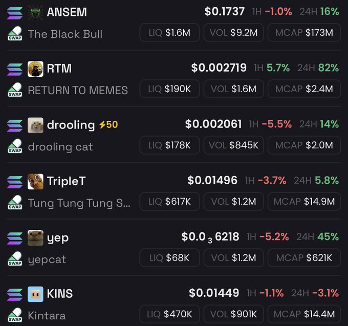 A cryptocurrency tracker displays price data for six meme coins—ANSEM ($0.1737), RTM ($0.002719), drooling ($0.002061), TripleT ($0.01496), yep ($0.0...6218), and KINS ($0.01449)—alongside metrics like liquidity, volume, and market cap, matching the user's listed "conviction plays" with notable 24-hour gains for RTM (+82%) and yep (+45%).