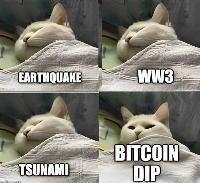 A four-panel meme showing a cat calmly sleeping through various disasters (Earthquake, WW3, Tsunami), but suddenly awakening for a 'Bitcoin Dip'.