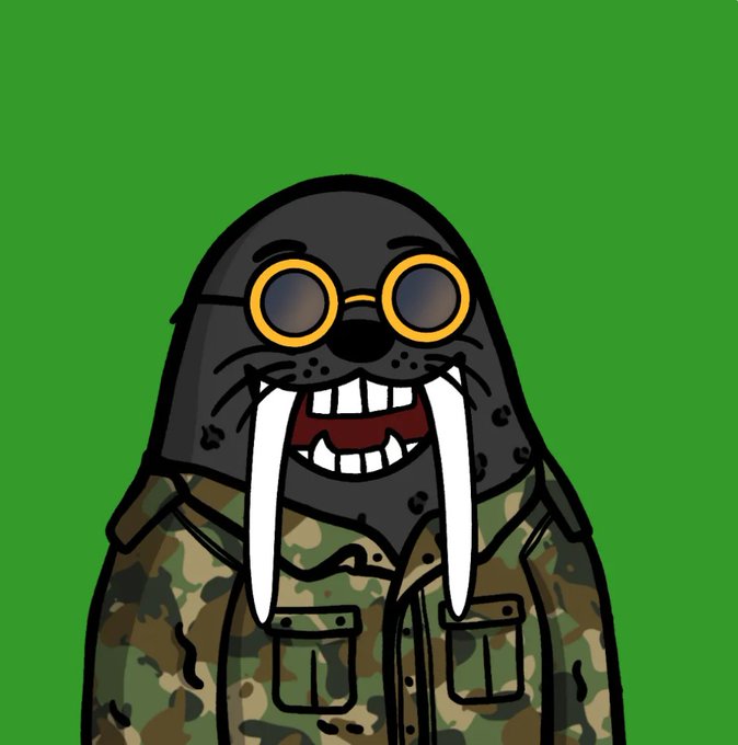 Cartoon illustration of a walrus wearing goggles and a camouflage jacket against a solid green background.