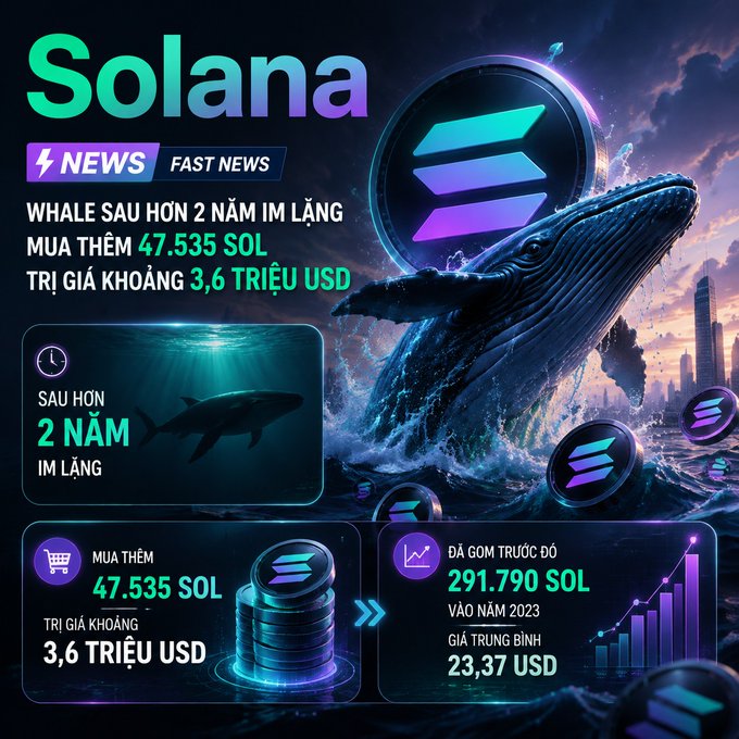 A Vietnamese crypto news infographic about 'Solana', reporting that a whale bought 47,535 SOL worth approximately 3.6 million USD after 2 years of silence.