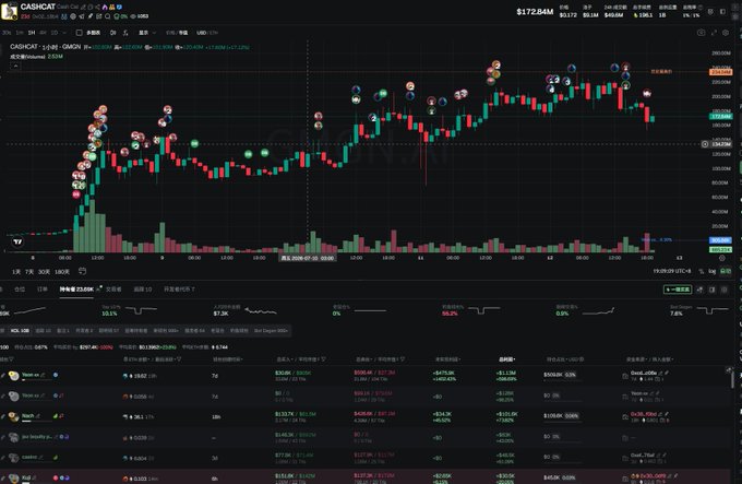 The image shows a TradingView chart of the CASHCAT token on Robinhood Chain (BSC), displaying a candlestick chart with the current price at $172.644M, along with trading metrics and a leaderboard of top traders below. The chart appears to illustrate the type of ultra-early stage projects discussed in the post, serving as a visual example of one of the speculative opportunities highlighted on the Robinhood Chain list.