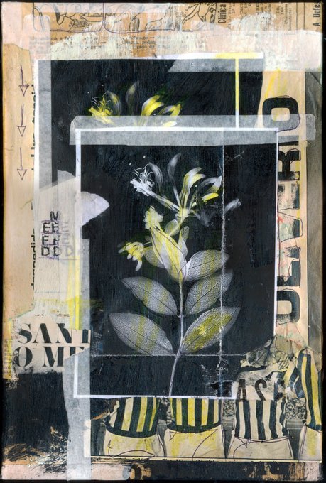 A mixed-media collage artwork featuring a central illustration of a flowering plant with yellow and gray tones, overlaid on layered paper and newspaper clippings with partial text like 'DERS', 'NEE DO', and 'SAV OMP' visible on the sides.