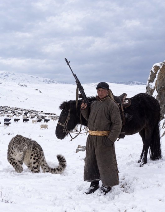 A Mongolian herder in traditional dress stands in a snowy landscape holding a rifle, accompanied by his horse, a snow leopard, and a herd of livestock in the background.