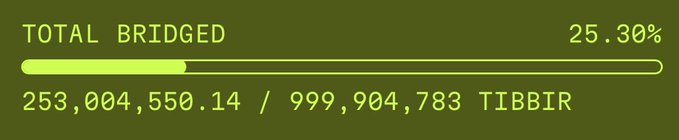 A digital display showing a progress bar titled 'TOTAL BRIDGED' at 25.30%, with the values '253,004,550.14 / 999,904,783 TIBBIR' underneath.