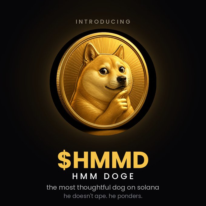 A promotional image for the cryptocurrency "$HMMD" featuring a golden coin with a dog (Shiba Inu) in a thinking pose, tagged "HMM DOGE" and "the most thoughtful dog on solana, he doesn't ape, he ponders."