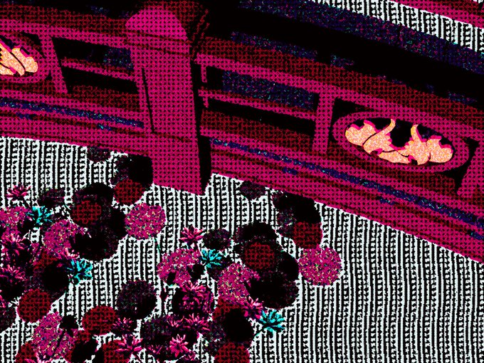 A highly stylized, high-contrast, halftone-filtered image of a balcony with a potted plant, featuring heavy pink, black, and teal coloring.