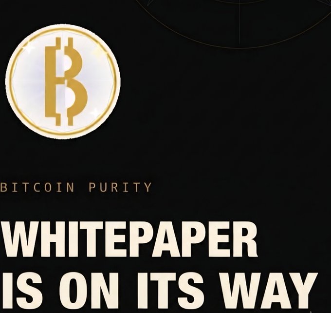 A black poster featuring a golden Bitcoin logo with the text 'BITCOIN PURITY' and 'WHITEPAPER IS ON ITS WAY'.