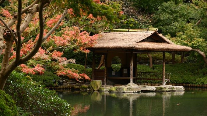 A traditional Japanese thatched-roof tea house beside a tranquil pond, surrounded by lush greenery and red/pink maple foliage in an autumn garden setting.