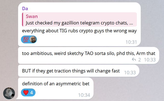 A Telegram chat conversation where user 'Swan' discusses crypto/TIG rubbing the community the wrong way, noting the project is 'too ambitious, weird sketchy TAO sorta silo, phd this, Arm that' but could be an 'asymmetric bet' if they get traction.