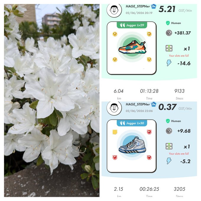 "This image features a couple of different images side by side. The left image showcases a pair of white hydrangeas blooming next to some text, with the caption 'HYDRangeas are lovely flowers that bloom during the spring'. On the right side of this image, there's another set of pictures featuring shoes and a person, along with various text elements like 'Stepn Activation Code' and 'Human', which could be related to a fitness or sports app. The post in question appears to be about tracking jogging activities using an app called Stepn."
