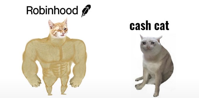 A meme comparing two cats: a muscular buff cat labeled "Robinhood" next to a small regular white cat labeled "cash cat", with the Robinhood logo above.