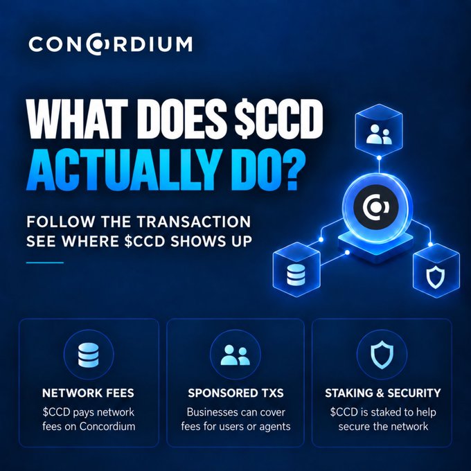 An informational graphic for 'CONCORDIUM' titled 'WHAT DOES $CCD ACTUALLY DO?' highlights 'NETWORK FEES', 'SPONSORED TXS', and 'STAKING & SECURITY'.