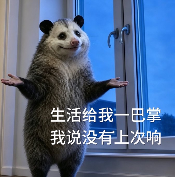A meme image of an opossum standing with arms outstretched, with Chinese text reading '生活给我一巴掌 我说没有上次响' (Life gives me a slap, I say it wasn't as loud as last time).