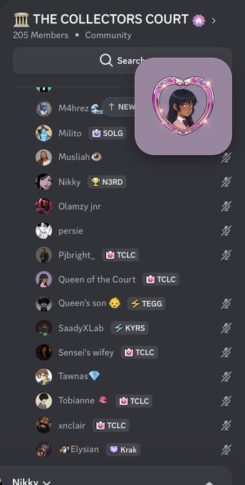 A Discord server interface titled 'THE COLLECTORS COURT' with 205 members in a Community channel, showing a member list including M4hrez, Milito, Musliah, Nikky, and others, with a profile picture of an anime-style character wearing headphones in a heart frame appearing in the foreground.