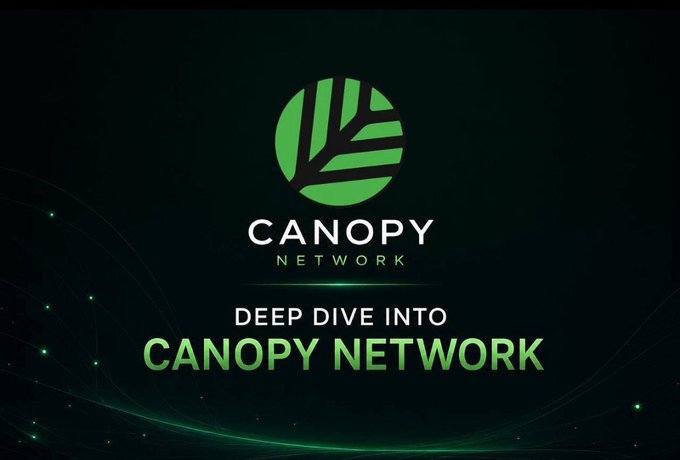 A promotional graphic titled 'DEEP DIVE INTO CANOPY NETWORK' featuring a green leaf logo on a dark green background with light particle effects.