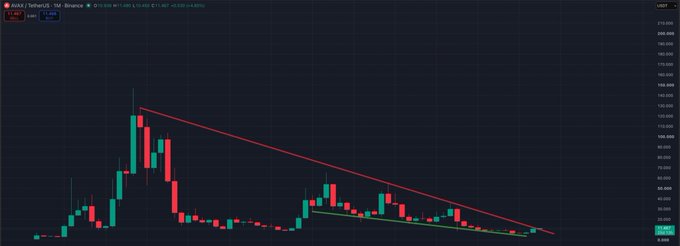 A Binance candlestick chart for AVAX/TetherUS shows the price declining from roughly $130 to $15, with a descending red trendline connecting the lower highs since May. The chart visually supports the post's message of patient accumulation during Avalanche's prolonged downtrend.