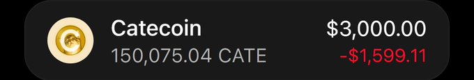 A digital wallet display shows a Catecoin ($CATE) balance of 150,075.04 tokens valued at $3,000.00, with a recent change of -$1,599.11 shown in red. The image relates to the giveaway post by demonstrating the poster's substantial CATE holdings, lending credibility to their promise of distributing $3,000 worth of Catecoin to 30 selected followers.
