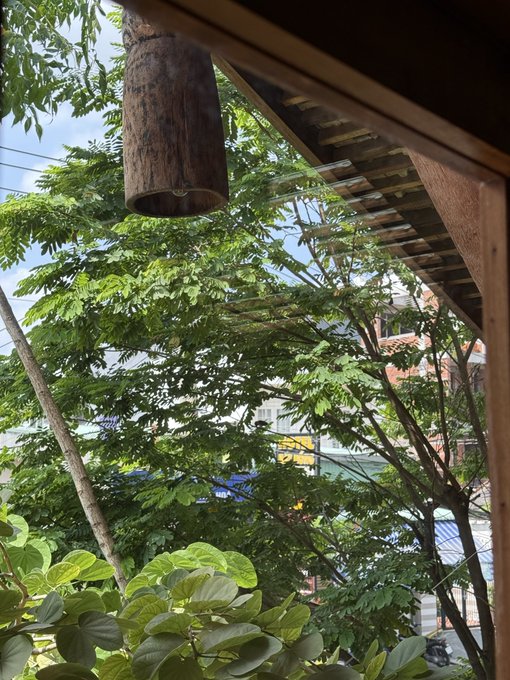 A view from under a wooden eave looking out at lush green trees and a building in the distance, with a bamboo wind chime hanging in the foreground.