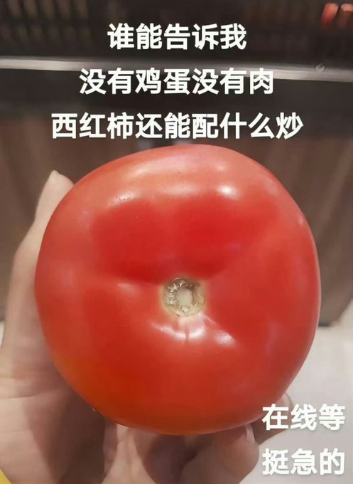 A hand holds up a large, glossy red tomato against a kitchen background, with Chinese text reading "谁能告诉我，没有鸡蛋没有肉，西红柿还能配什么炒" (Who can tell me, without eggs or meat, what else can tomatoes be stir-fried with?) and "在线等挺急的" (Waiting online, kind of urgent).