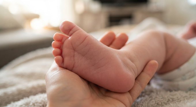 An adult hand gently cradles a baby's tiny foot, symbolizing the vulnerability and trust inherent in this tender moment—mirroring the playful risk of the post's author placing their "core productivity tool" (a baby) on a crypto project, embracing absurdity over seriousness.