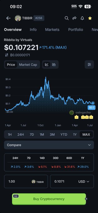 A CoinGecko price chart on a mobile app displays TIBBIR (#256) at $0.107221, up 171.4%, with a YTD gain of +31.6% and 1 TIBBIR = 0.1071 USD.