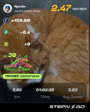 The image shows a cat sleeping next to a screen displaying information about its progress during a workout session. The cat appears to be resting, while the screen provides details such as the distance traveled (6 km) and the time taken (2 minutes). This suggests that the cat is participating in an exercise program designed for pets or their owners, aiming to improve physical fitness and overall health.