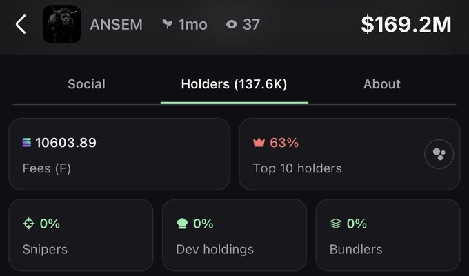 A token analytics dashboard showing ANSEM with a market cap of $169.2M, 137.6K holders, 63% held by top 10 holders, and 0% snipers/dev holdings/bundlers.