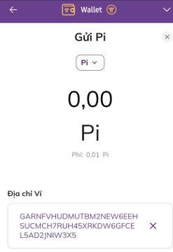 The image shows a Pi Wallet interface displaying a balance of 0.00 Pi with the Vietnamese heading "Gửi Pi" (Send Pi), along with the wallet address GARNFVHUDMUTBM2NEW6EEHSUCMCH7RUH45XRKDW6GFCEL5AD2JNIW3X5 under "Địa chỉ Ví" (Wallet Address). This matches the post's mention of that specific wallet address being explored on Stellar Explorer.