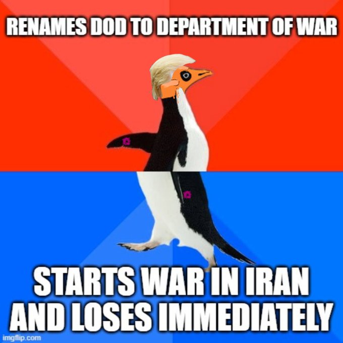 A 'SOYJAK' style political meme featuring a penguin walking, with text reading 'RENAMES DOD TO DEPARTMENT OF WAR' on a red background and 'STARTS WAR IN IRAN AND LOSES IMMEDIATELY' on a blue background.