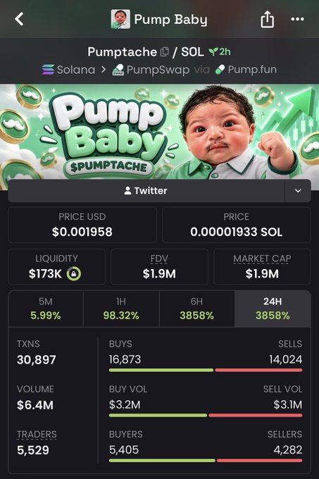 A Pump Baby token page for “Pumptache / SOL,” showing price $0.001958, liquidity $173K, FDV and market cap of $1.9M, 24H volume $6.4M, and 5,529 traders.