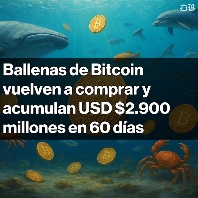 An underwater-themed graphic shows whales, dolphins, fish, and a crab with Bitcoin coins, with text reading 'Ballenas de Bitcoin vuelven a comprar y acumulan USD $2.900 millones en 60 días' and a 'MB' logo.