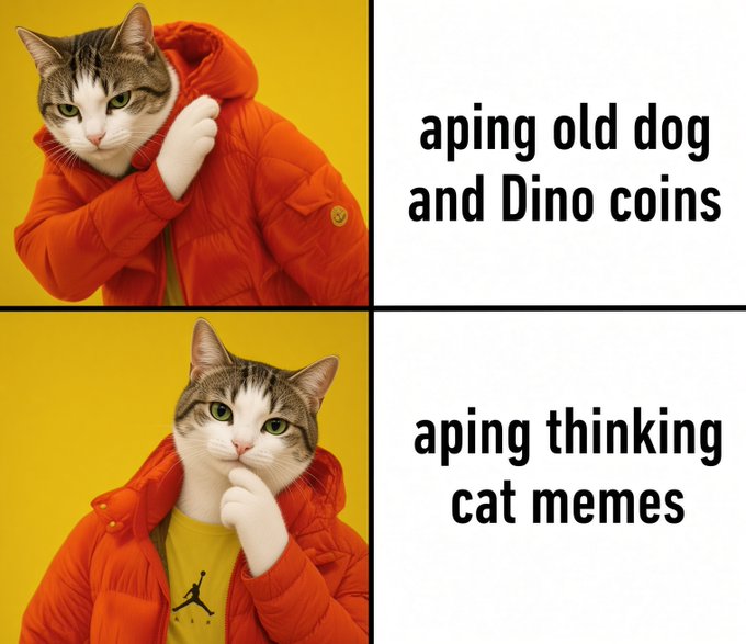 A two-panel meme featuring a cat wearing an orange puffer jacket against a yellow background, with text reading "aping old dog and Dino coins" on top and "aping thinking cat memes" on bottom.