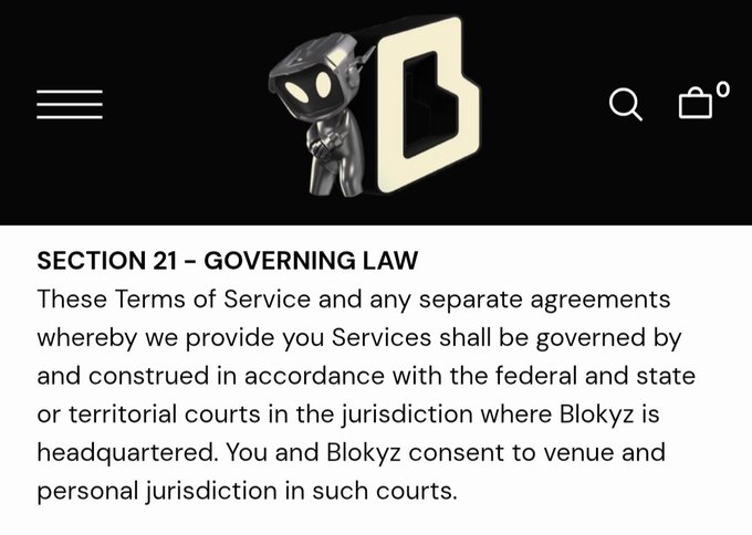 A terms of service page displays 'SECTION 21 - GOVERNING LAW' stating that agreements shall be governed by the courts in the jurisdiction where Blokyz is headquartered.