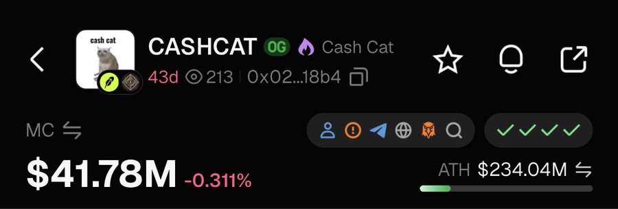 A screenshot of a cryptocurrency tracker showing the token 'CASHCAT' with a market cap of $41.78M, down 0.311%, and an all-time high of $234.04M.