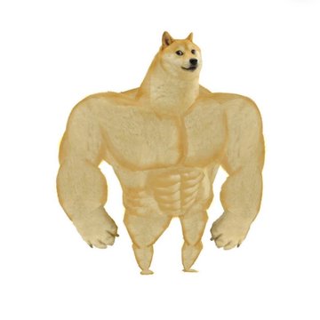 The image depicts a buff, muscular Shiba Inu (Doge) with exaggerated bodybuilding proportions and defined abs, symbolizing the "strong" or "buff Doge" meme. It relates to the post by visually representing the iconic Doge character associated with $SWOGE and the broader $DOGE community's meme culture.