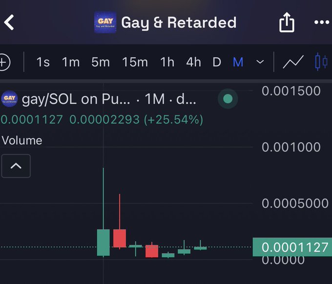 A cryptocurrency trading chart displays a token labeled "Gay & Retarded" (gay/SOL on Pu...) showing a price of 0.0001127 with a +25.54% gain, displayed in candlestick format over a 1-month period.
