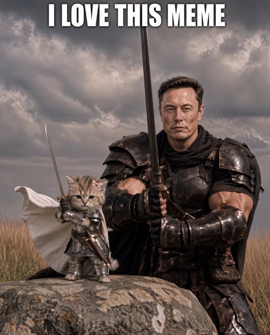 A meme featuring a photoshopped image of Elon Musk and a kitten dressed as warriors in medieval armor holding swords and a cape, with the text 'I LOVE THIS MEME'.