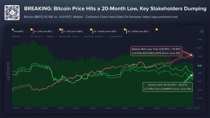 The image is a Santiment data chart showing Bitcoin's price hitting a 20-month low, highlighting that wallets with 10-10,000 BTC have dumped 45,074 coins (-0.33%) since June 15th, while wallets with less than 0.01 BTC have accumulated 74 BTC (+0.15%), visually reinforcing the post's claim that whales are selling into fear while smaller holders are quietly accumulating at the bottom.