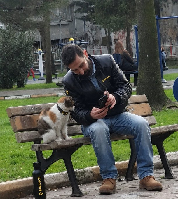 A man wearing a "BINANCE" jacket sits on a park bench, looking at his phone with a calico cat beside him, humorously illustrating the post about a crypto trader explaining his poor timing on a Binance trade to a fellow "bro."